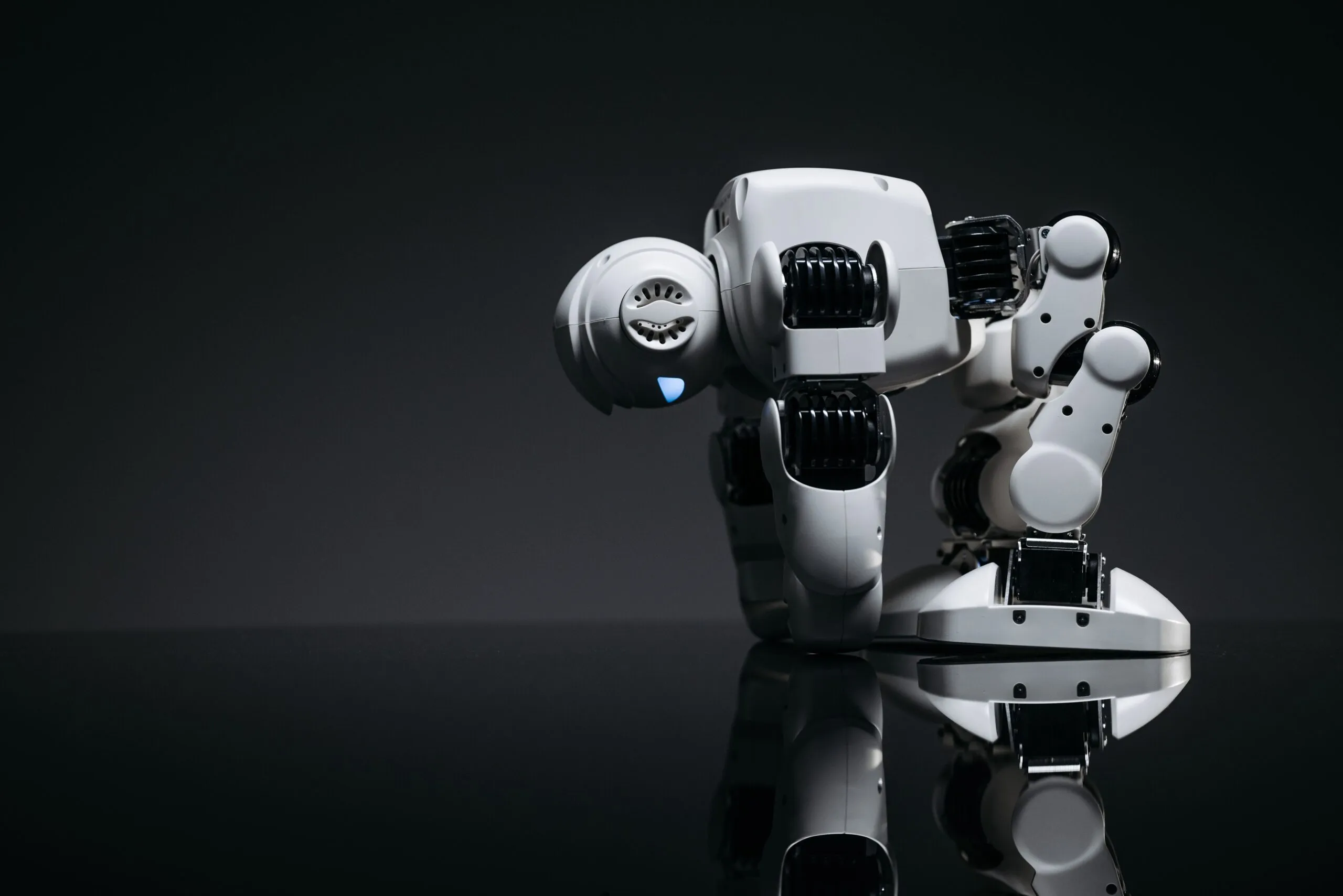 Are Bionic Robots Coming to Home Care?